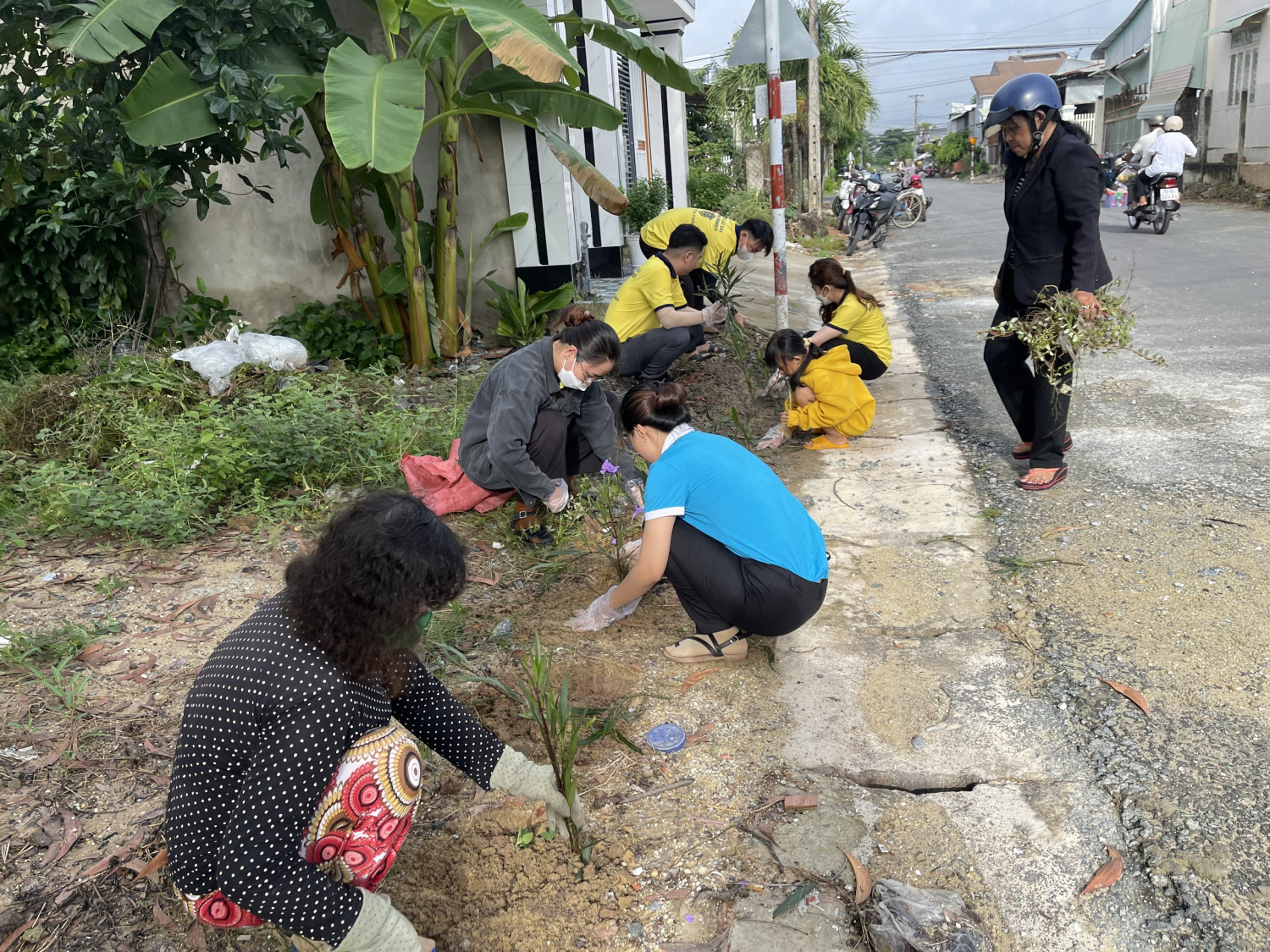 Hội Liên hiệp phụ nữ Phường Ninh Thạnh phối hợp cùng với các thành viên của Công ty TNHH Pháp Lý Bất Động Sản Tây Ninh tổ chức ra quân dọn dẹp vệ sinh và trồng hoa.