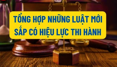 10 luật có hiệu lực thi hành từ ngày 1/7/2024