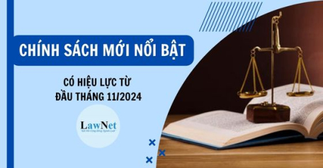 Những chính sách có hiệu lực từ tháng 11/2024