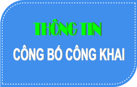 CÔNG KHAI BẢN KÊ KHAI TÀI SẢN, THU NHẬP NĂM 2024