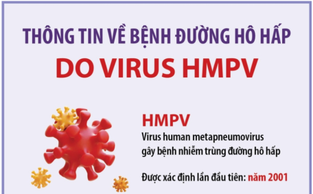 Thông tin về bệnh đường hô hấp do virus HMPV